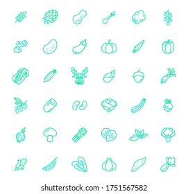 Set of vegetable and veggie icons line style. It contains such Icons as grain, green onion, cabbage, potato, arugula, broccoli, lettuce, onion, zucchini, carrot and other elements.