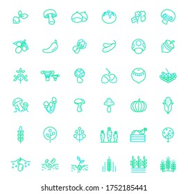 Set of vegetable and veggie icons line style. It contains such Icons as nature, tree, olive, mushroom, cucumber, chili, pepper, pumpkin, farm, acorn and other elements.