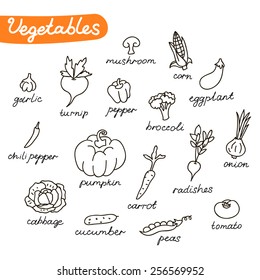 Set of vegetables 