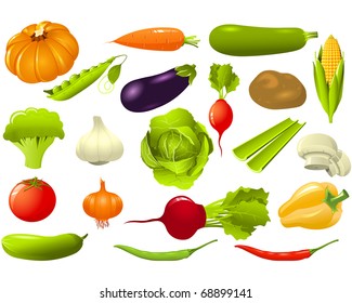 Set of vegetables