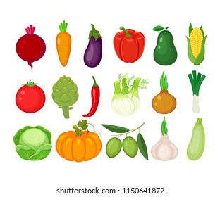 Set of  vegetables. Beetroot, carrot, eggplant, bell pepper, avocado, tomato, artichoke, chili, fennel, onion, cabbage, pumpkin, olives, garlic, zucchini, leek, corn.   Vector illustration.