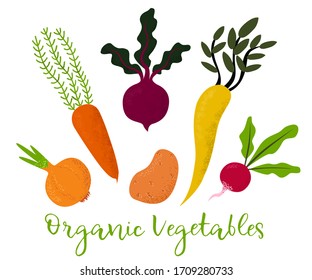 Set of vegetables. Beets, celery, potato, radish, carrots and onion. Isolated on white.