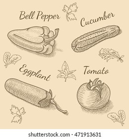 Set of vegetables with bell pepper, eggplant, cucumber, tomato and herbs for restaurant menu. Vintage sketch drawing. Vector EPS10 illustration.