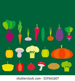 Set of vegetables bell peppers, pumpkin, beets, carrots, eggplant, red hot peppers, cauliflower, broccoli, potatoes, mushrooms, cucumber, onion, garlic, tomato, radish on green background. Vector