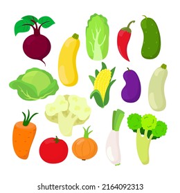 Gemüsekohl, chinesischer Kohl, roter Pfeffer, Mais, Lauch, Zwiebeln, Zuckerrüben, Mohrrübe, Auberginen, Tomate, Gurken, Blumenkohl, Broccoli, Squash oder Zucchini im Cartoon-Stil.