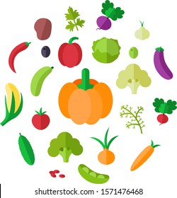 Set of vegetables. Cabbage, Pumpkin, Cucumber, Tomato, Corn, Potato, Garlic, Onion, Radish, Eggplant, Carrot.