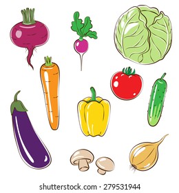 Set of vegetables. Cabbage, tomato, cucumber, eggplant, mushrooms, onion, pepper and edible roots isolated on white.