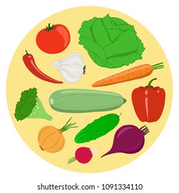 Set of vegetables. Cabbage, tomato, garlic, carrot, pepper, zucchini, broccoli, onion, cucumber, beet, radish. Vector illustration.