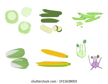 Set of vegetables. Cabbage, zucchini, chinese cabbage, kohlrabi, corn, peas isolated vector image on white background.