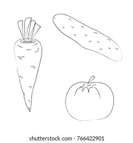Set of vegetables carrot cucumber tomato hand drawn style sketch on white background vector illustration