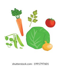 Set of vegetables: carrots, onions, greens, cabbage, tomato and beans, suitable for soup, vector illustration in flat style