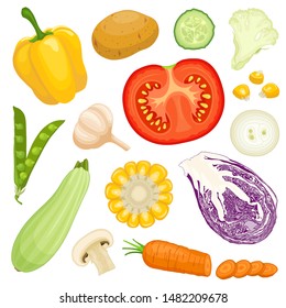 Set of vegetables in cartoon style. Assorted different vegetables isolated on a white background. Vector illustration.