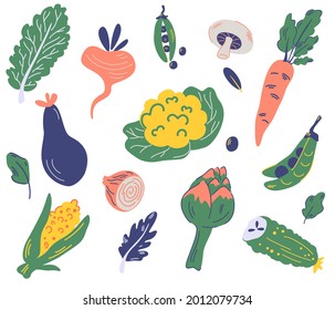 Set of vegetables. Cauliflower, lettuce, eggplant, peas, carrots, radishes, corn, artichoke, mushrooms, onion, cucumber. Organic and healthy food. Fresh Various delicious vegetarian vegetables.Vector