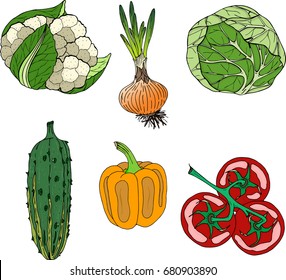 Set of vegetables. Cauliflower, onion, cabbage, cucumber, bell pepper, tomatoes on the branch. Vector illustration on a white background.