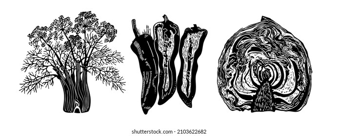 Conjunto de verduras. Basura picada, Pimienta, hinojo. Dibujo en blanco y negro al estilo de grabado. Dibujo vectorial de un objeto alimentario.