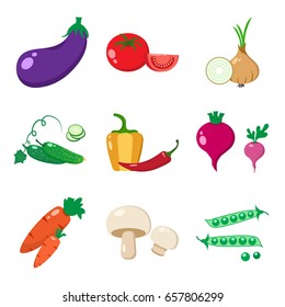 Set of vegetables, colorful vector illustration