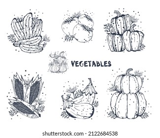 Set of vegetables. Coloring. Hand drawn in vintage style. Flat vector illustration. EPS10