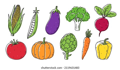 A set of vegetables - corn, peas, eggplant, broccoli, beetroot, tomato, pumpkin, artichoke, carrot and bell pepper. Organic healthy food. Vector hand-drawn illustration in doodle style.