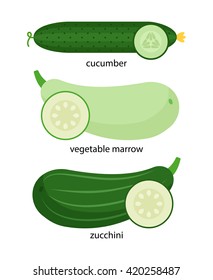 Set of vegetables: cucumber, marrow and zucchini, and their cross-sections