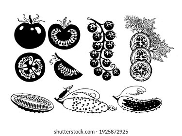 set vegetables cucumber, tomatoes, small gherkins, cherry tomatoes, cucumber slices, sliced cucumber and tomato, tomato slice, vector hand drawings isolated on a white background.