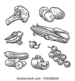 Set vegetables. Cucumbers, Garlic, Corn, Pepper, Broccoli, Potato and Tomato. Isolated on the white background. Vector black hand drawn vintage engraving illustration for poster, label and menu.