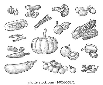 Set vegetables. Cucumbers, Napa cabbage, Pea pod, Onoin, Garlic, Corn, Pepper, Broccoli, Potato and Tomato. Isolated on the white background. Vector black hand drawn vintage engraving illustration