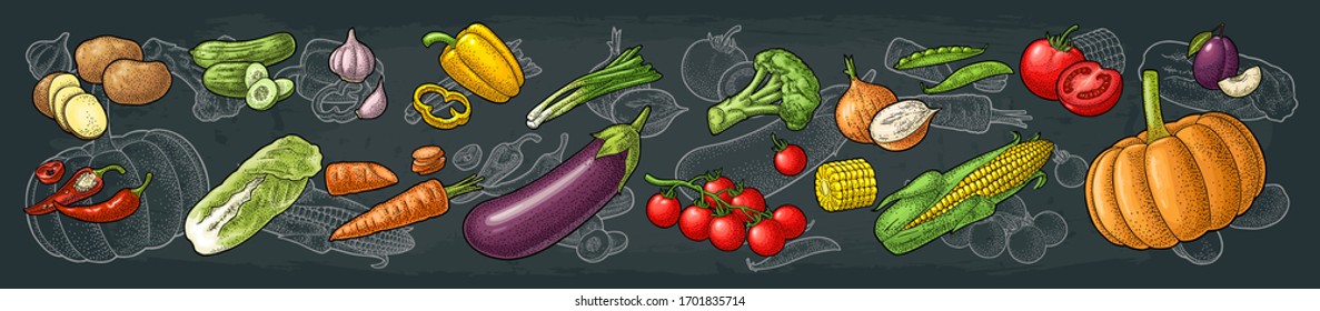 Set vegetables. Cucumbers, Napa cabbage, Pea pod, Onoin, Garlic, Corn, Pepper, Broccoli, Potato and Tomato. Vector black hand drawn vintage engraving illustration isolated on white