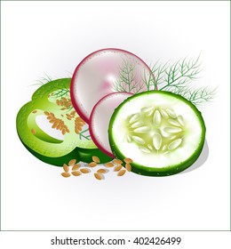 Set of vegetables for dietary salad. Vector illustration.