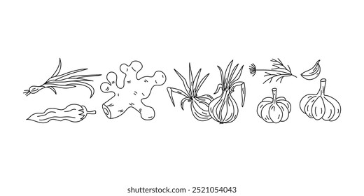 Set of vegetables, doodle drawings. Natural vegetarian food. Ginger, onion, garlic, dill and chili. Healthy eating. Hand drawn linear icons.