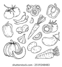 set of vegetables in doodle style. Hand drawn vegetables with pumpkin, potatoes, eggplants, garlic, carrots, peppers, tomatoes, champignons. Sketch of a vegetable. Vector illustration