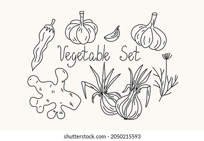Set of vegetables in doodle style. Vitamin food. Natural vegetarian products. Ginger, onion, garlic, dill and chili. Hand-drawn text. Vector illustration, drawing, sketch. Isolated white background.