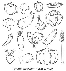 Set of vegetables doodle vector illustration in sketch hand drawn style such as tomato, eggplant, carrot and more isolated on white background 