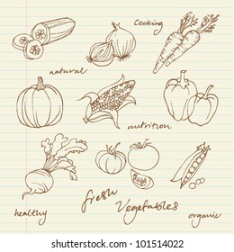 Set of Vegetables doodles vector