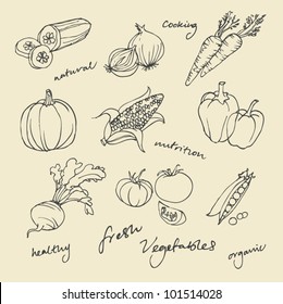 Set of Vegetables doodles vector