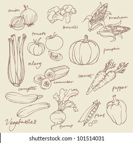 Set of Vegetables doodles vector