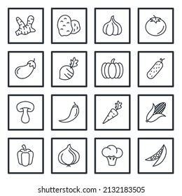 set of Vegetables elements symbol template for graphic and web design collection logo vector illustration