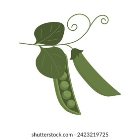 Set of vegetables. Farming and agriculture. Natural and organic products. Green peas. Social media sticker. Fresh eating with vitamins. Cartoon flat vector collection isolated on white background