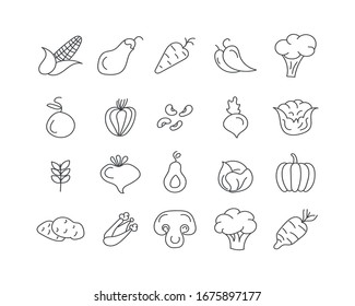 Set of vegetables in flat design. Hand drawn doodles. Healthy food. Salad, carrot, broccoli, potato, mushroom, agriculture. Editable seamless pattern. Vector illustration. EPS 10.
