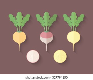 A set of Vegetables in a Flat Style with an Oblique Blend Shadow - Turnip and Rutabaga