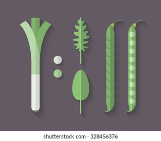 A set of Vegetables in a Flat Style with an Oblique Blend Shadow - Leeks, Green Bean; Arugula and Spinach