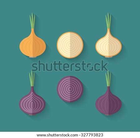 A set of Vegetables in a Flat Style with an Oblique Bland Shadow - Onion