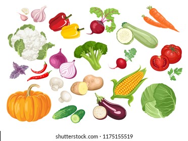 Set of vegetables in flat style. Vector icon сollection.  Concept of farm product for restaurant menu, market, label, print, banner, background.