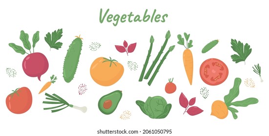Set of vegetables in a flat style. Vegan concept. Vector illustration on white background.
