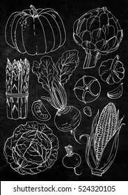 Set of vegetables. Fresh food. Pumpkin, artichokes, beets, asparagus, corn, garlic, tomato line drawn on a white background. Vector illustration. Coloring for adults