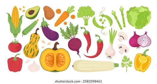 Set of vegetables, fresh vegetables, hand drawn, on white background