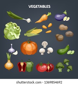 Set of vegetables. Fresh organic food. Broccoli and carrot, pepper and radish. Vegetarian meal. Isolated vector illustration in cartoon style
