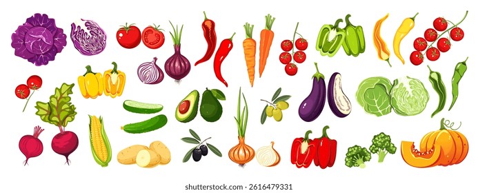 Set of vegetables. Fresh products. Tomatoes, pumpkin, cucumbers, avocado, pepper. Vector illustration isolated on white background.