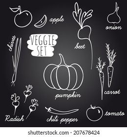 Set of vegetables and fruits: apple, pumpkin, chives, carrot,radish, chili pepper, tomato, beet, onion. Vector illustration.