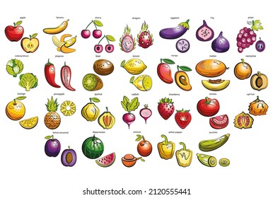 Set of vegetables, fruits and berries. Fresh hand-drawn vegetables, fruits and berries vector illustration, vegetable menu with names. Symbols of a healthy diet and lifestyle.