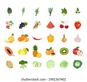 A set of vegetables, fruits, berries and herbs. Ingredients for vegetarian meals and a source of vitamins. Healthy lifestyle.